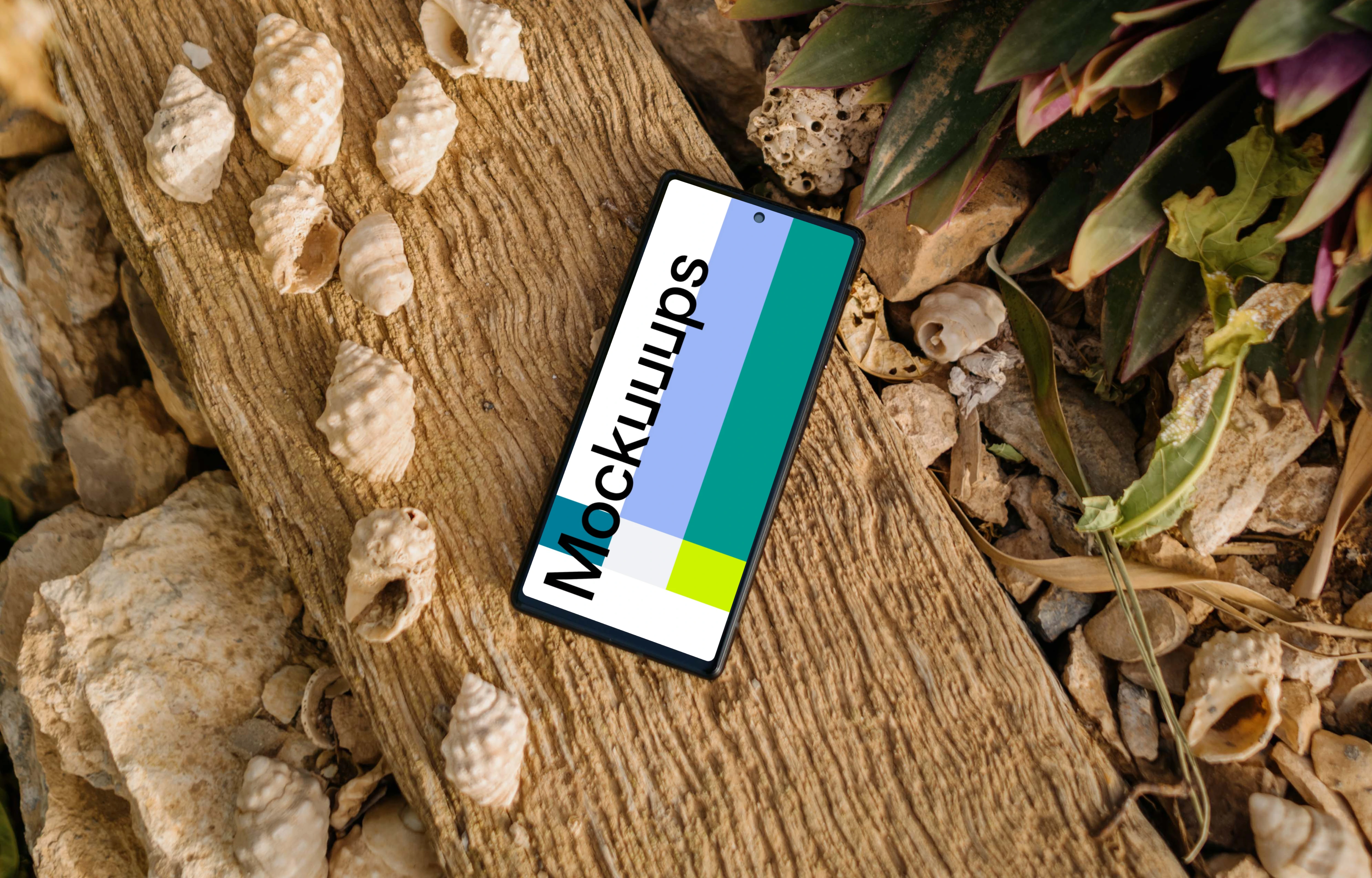 Pixel 6 mockup on a beach beside some seashells