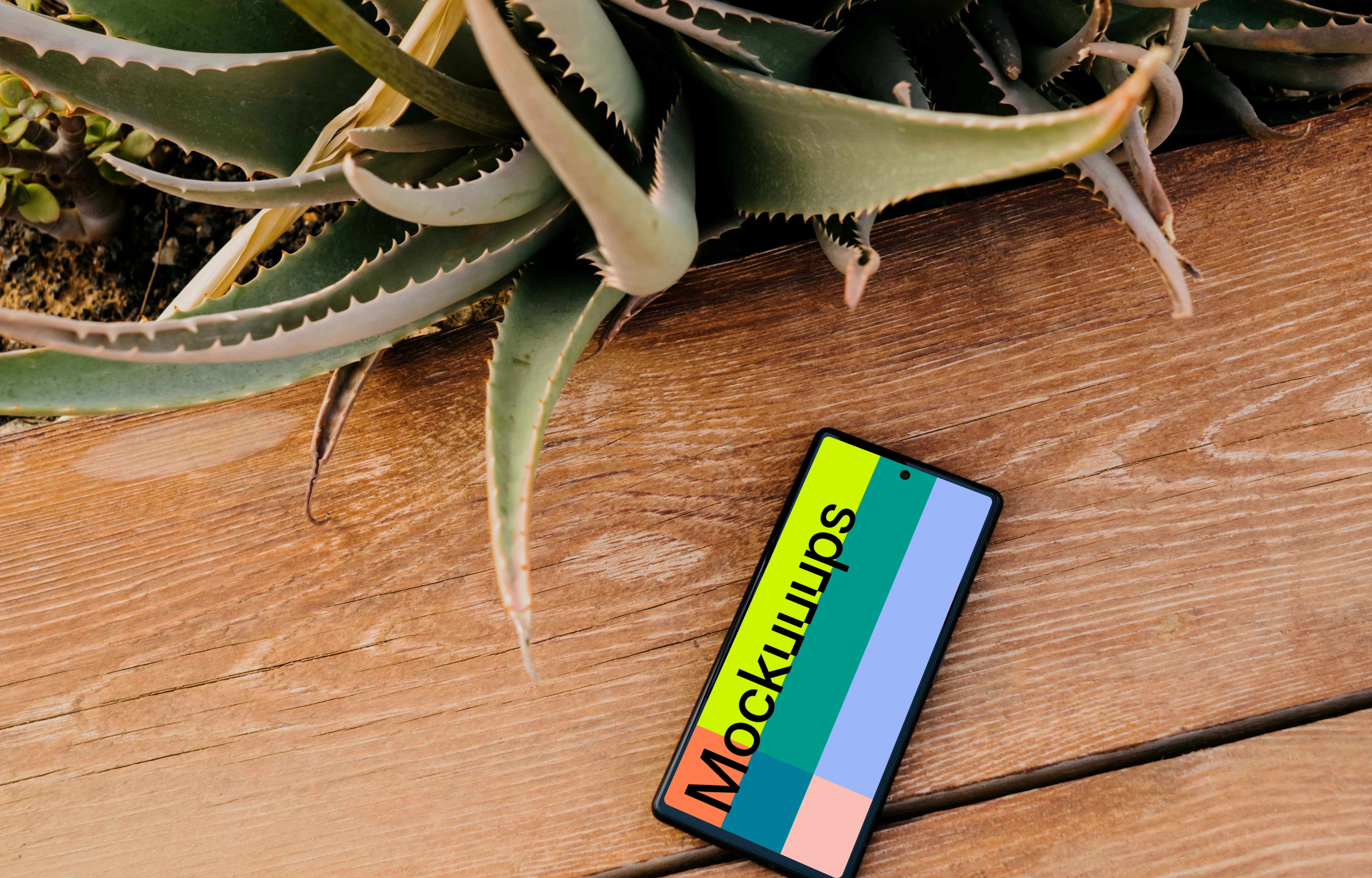 Pixel 6 mockup placed next to an Aloe Vera plant