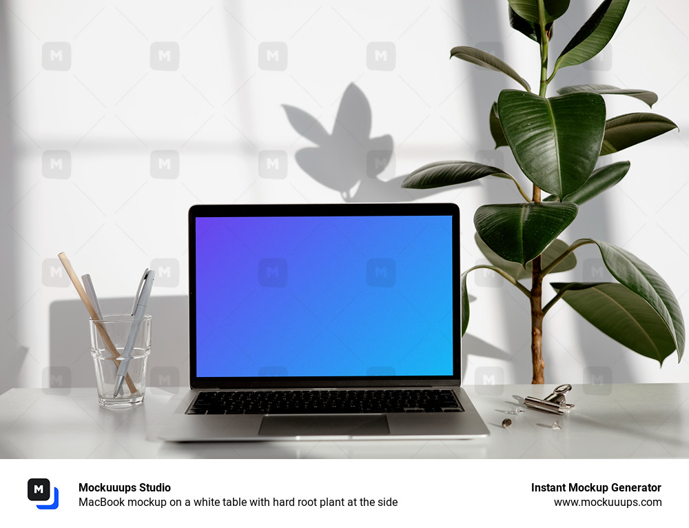 MacBook mockup on a white table with hard root plant at the side