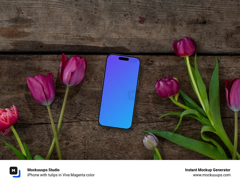 iPhone with tulips in Viva Magenta color