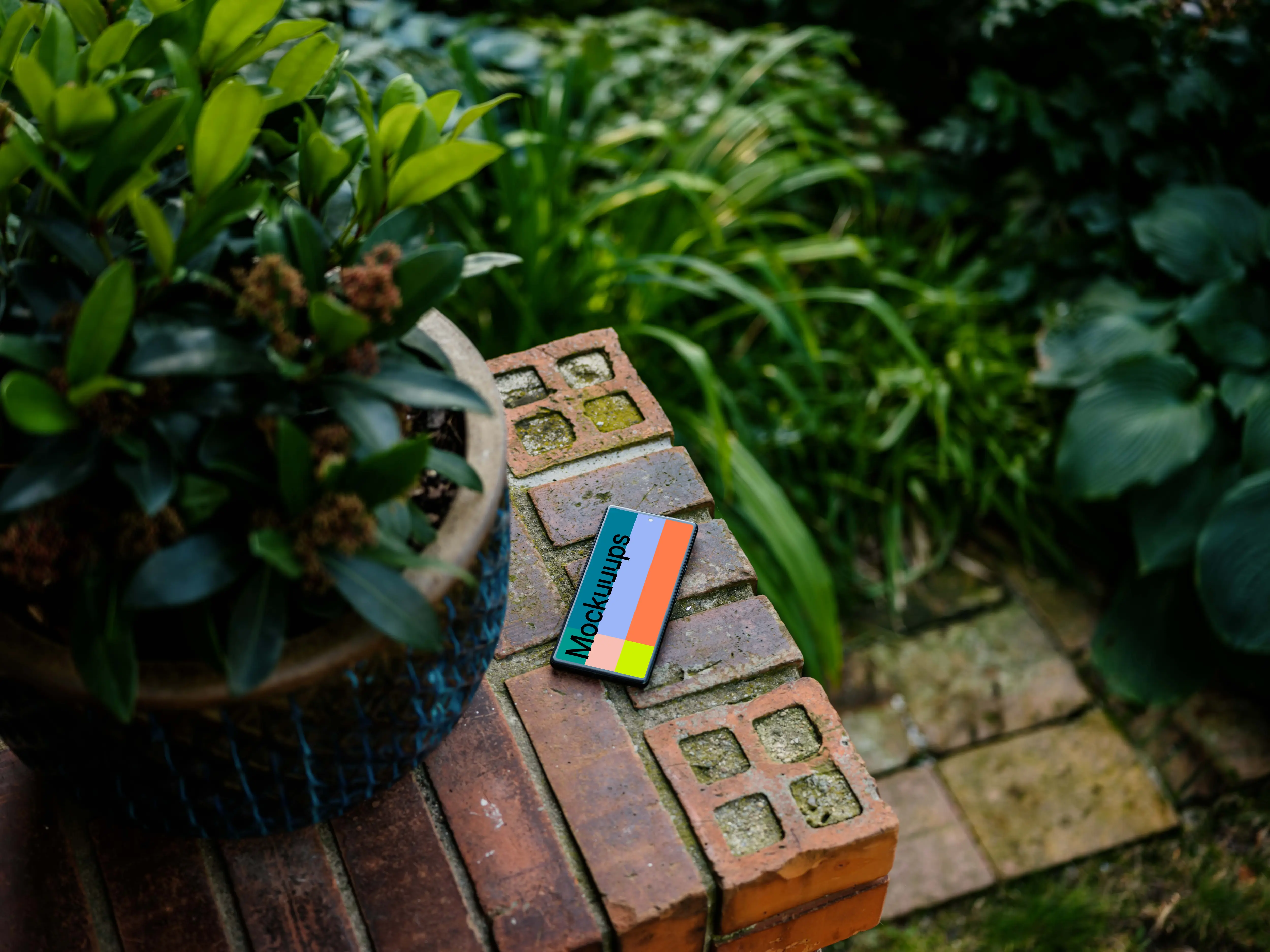Google Pixel 6 mockup surrounded by plants