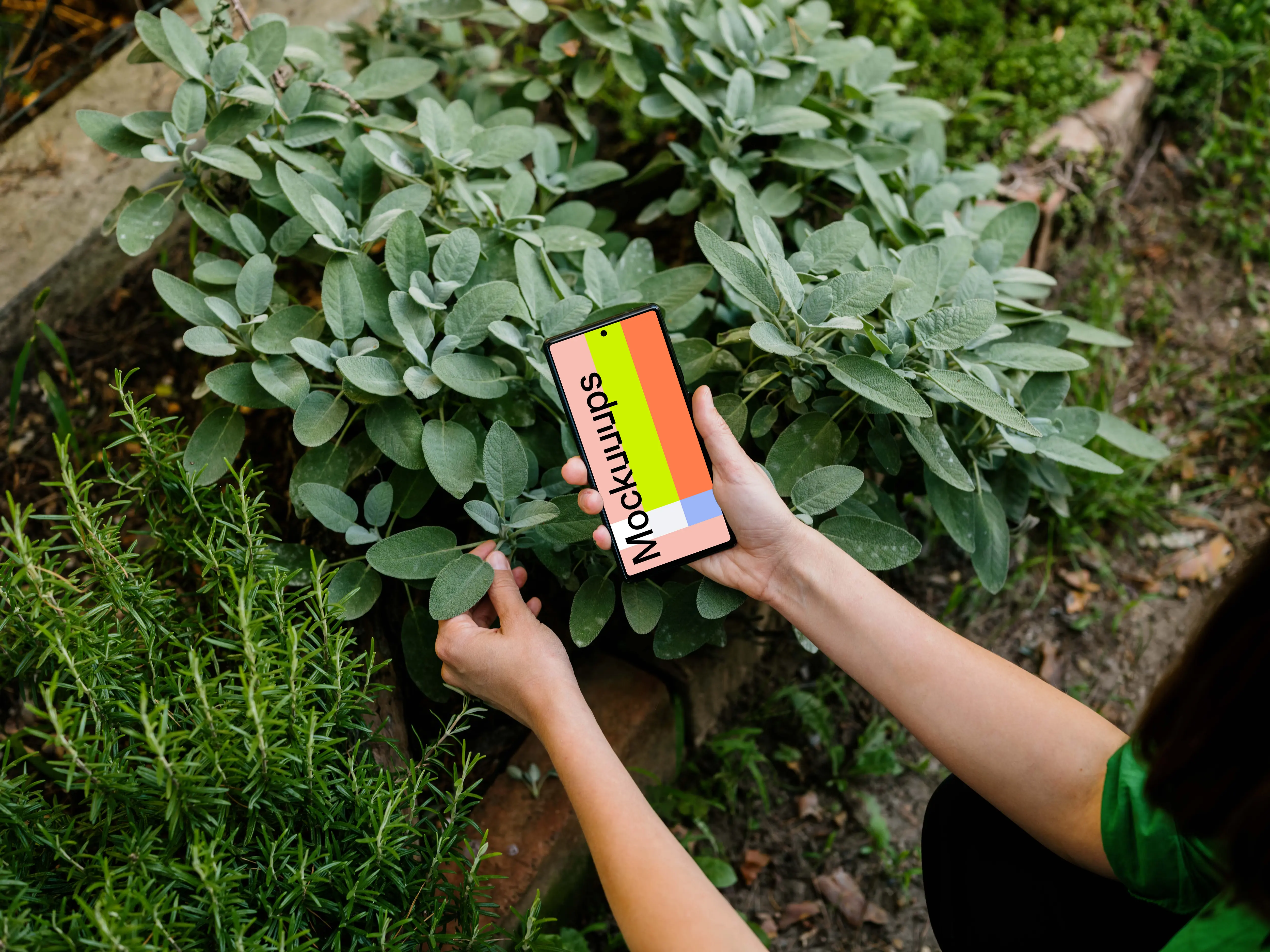 Woman holding a Google Pixel 6 mockup in garden theme