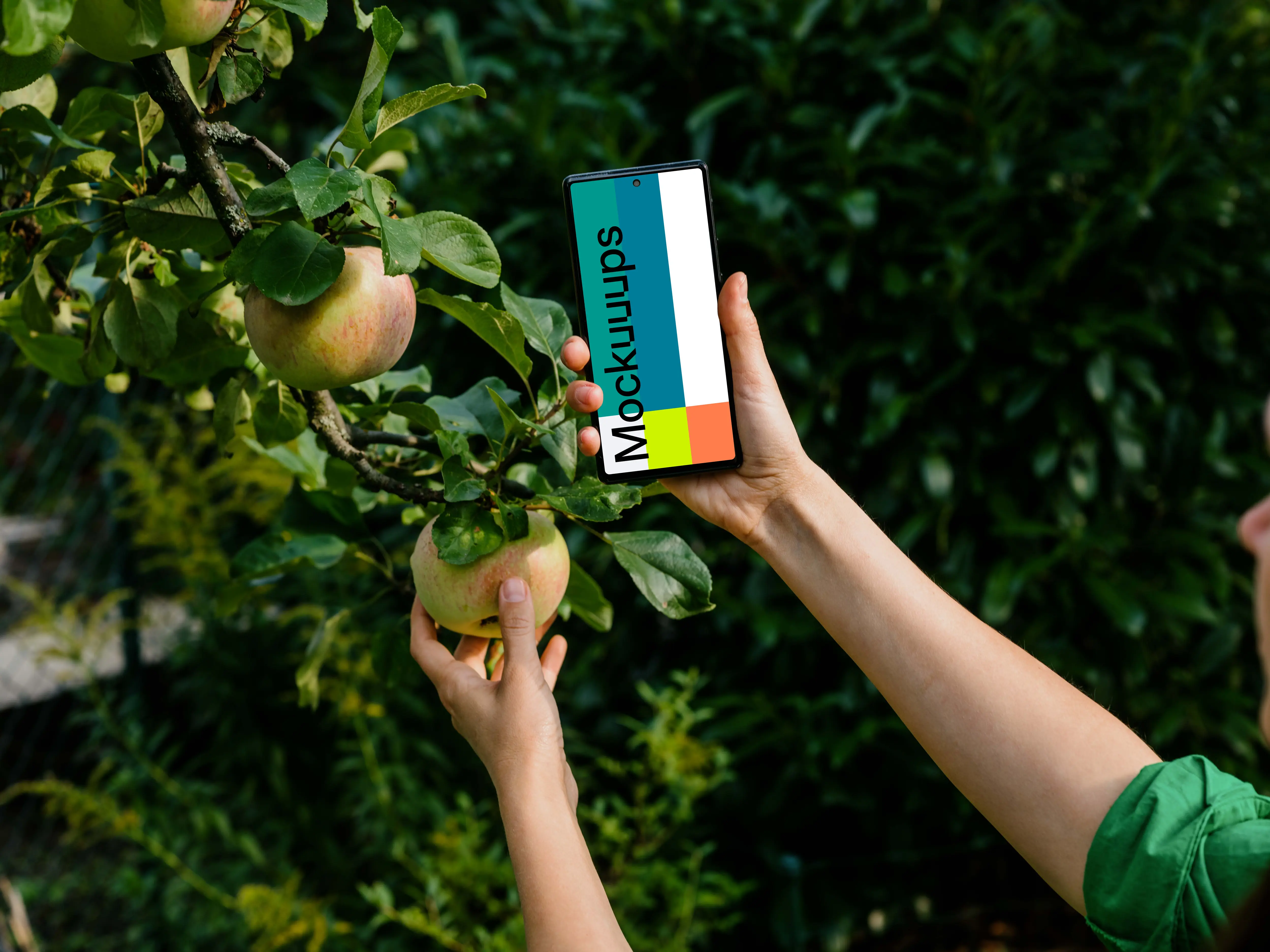 Woman holding a phone while taking an apple from tree mockup
