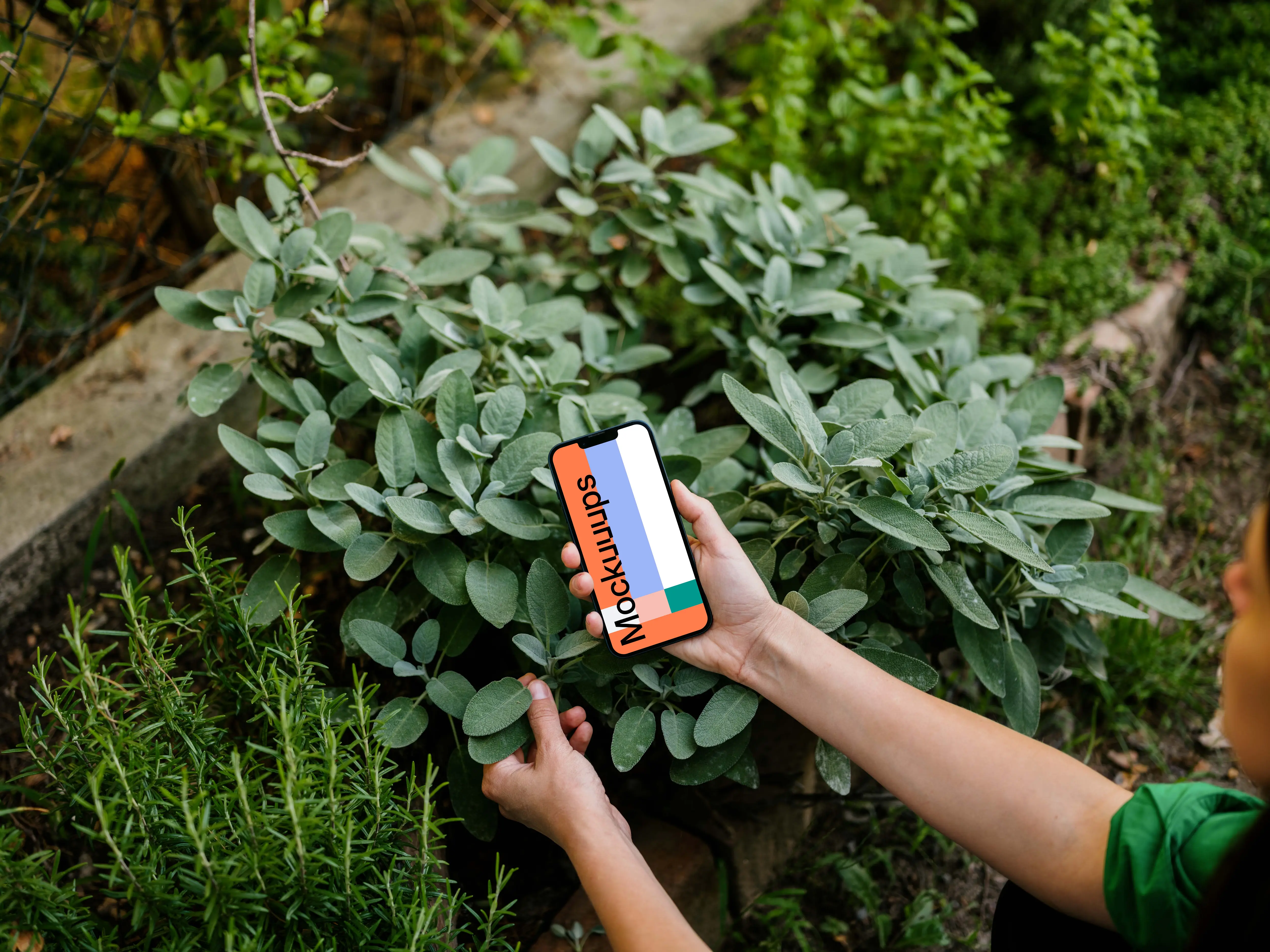 Woman holding an iPhone 13 mockup in green garden
