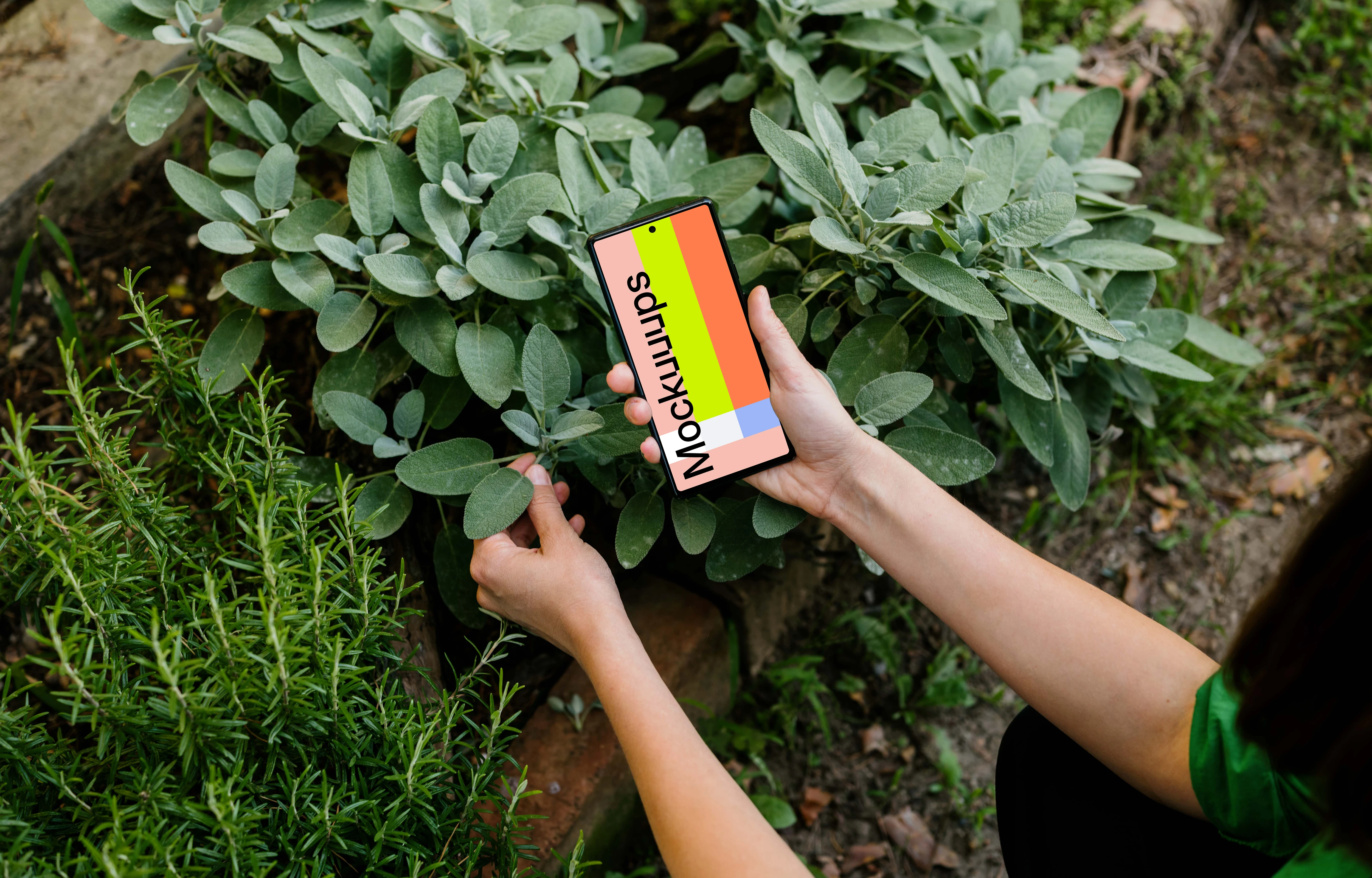 Woman holding a Google Pixel 6 mockup in garden theme