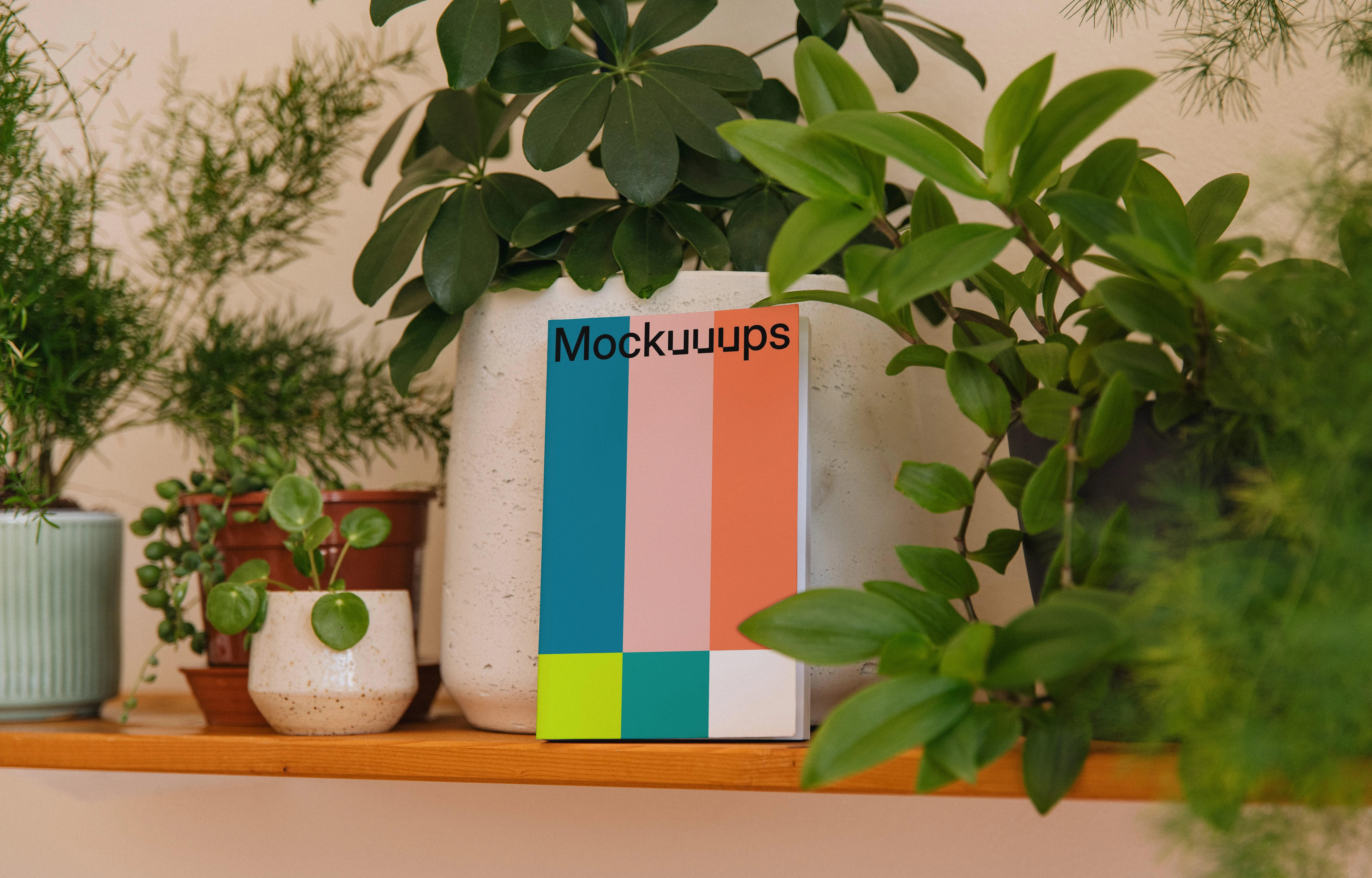 Paperback mockup on a wooden shelf with houseplants