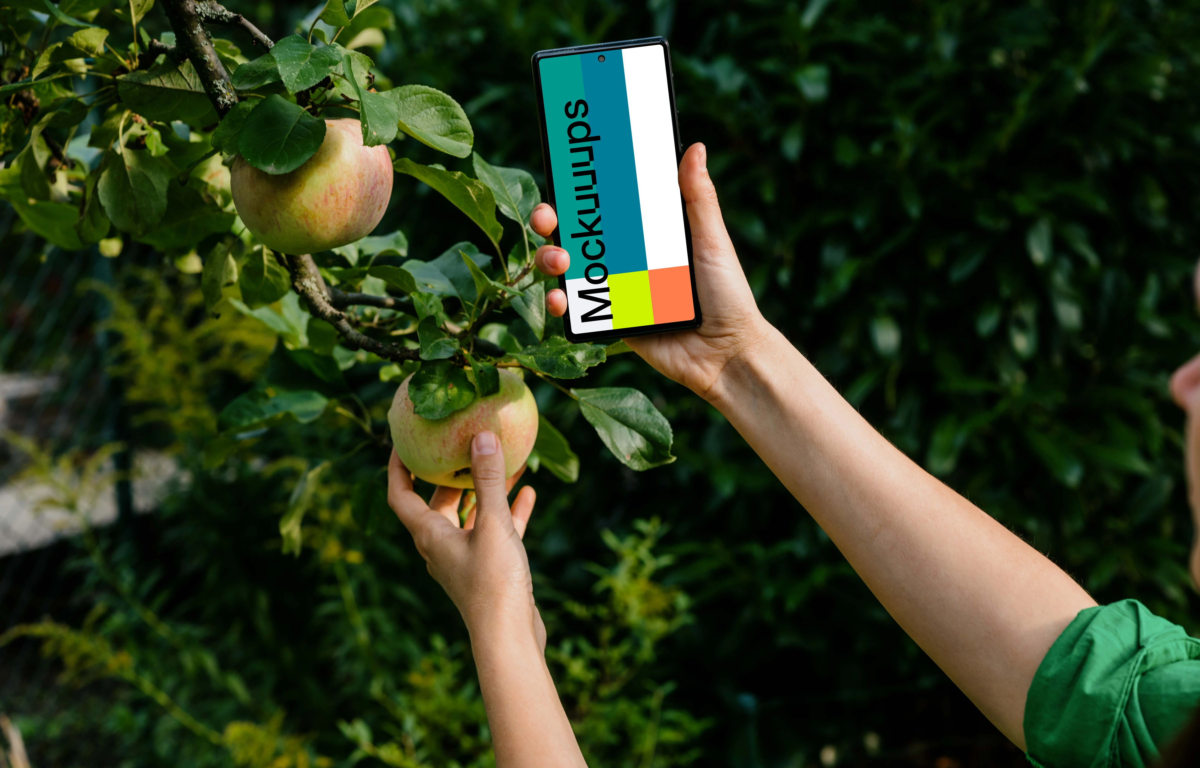Woman holding a phone while taking an apple from tree mockup