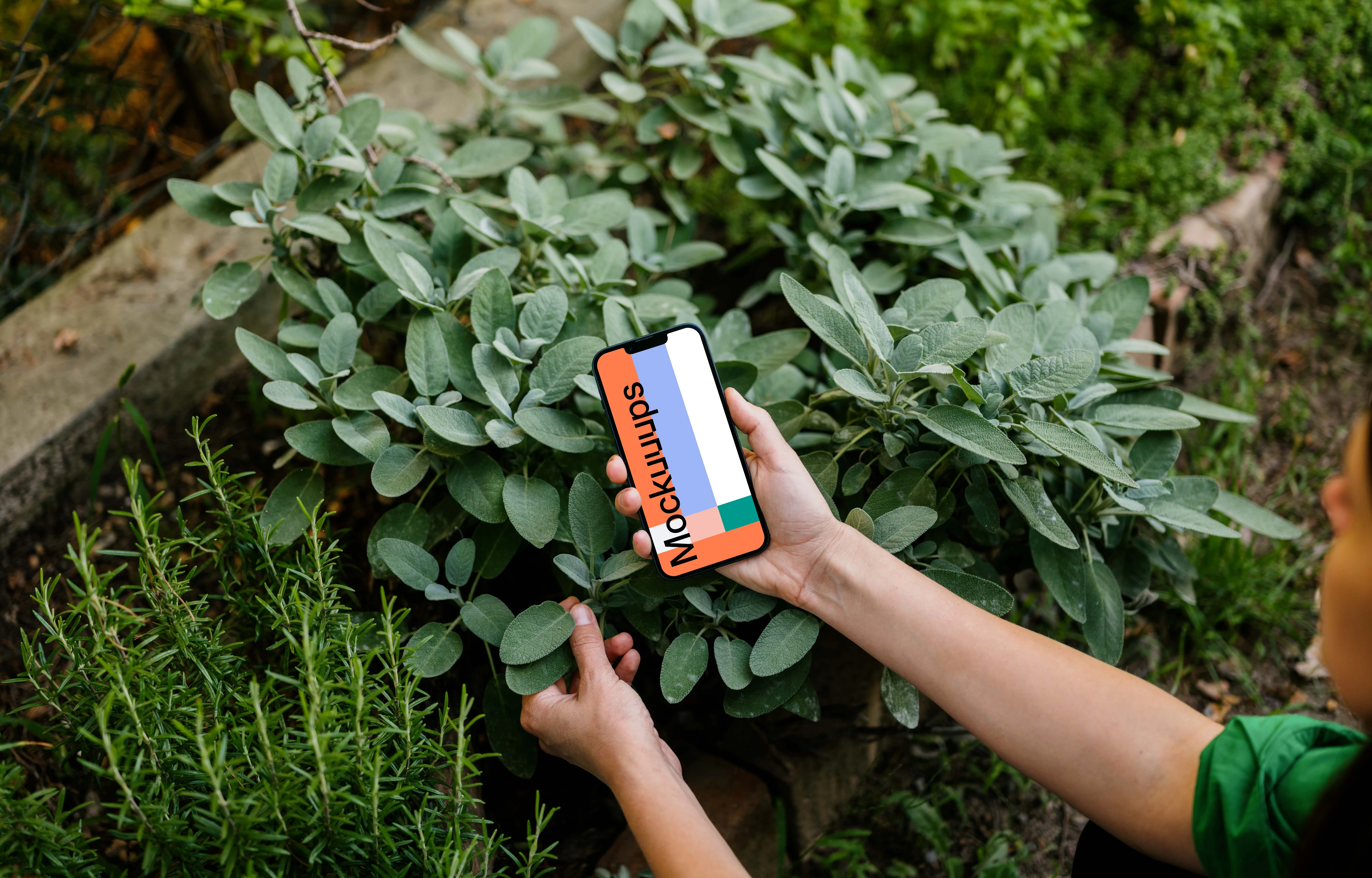 Woman holding an iPhone 13 mockup in green garden