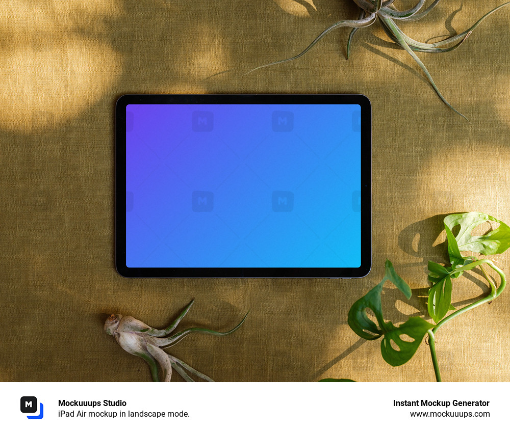 iPad Air mockup in landscape mode.