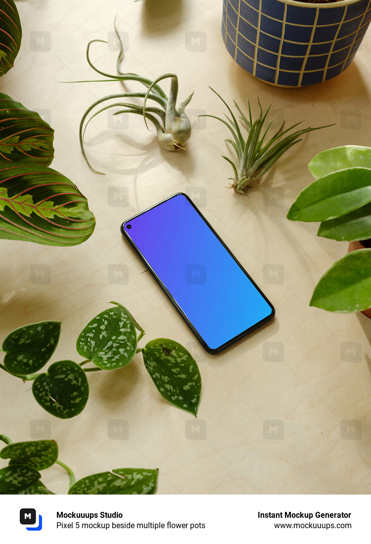 Pixel 5 mockup beside multiple flower pots