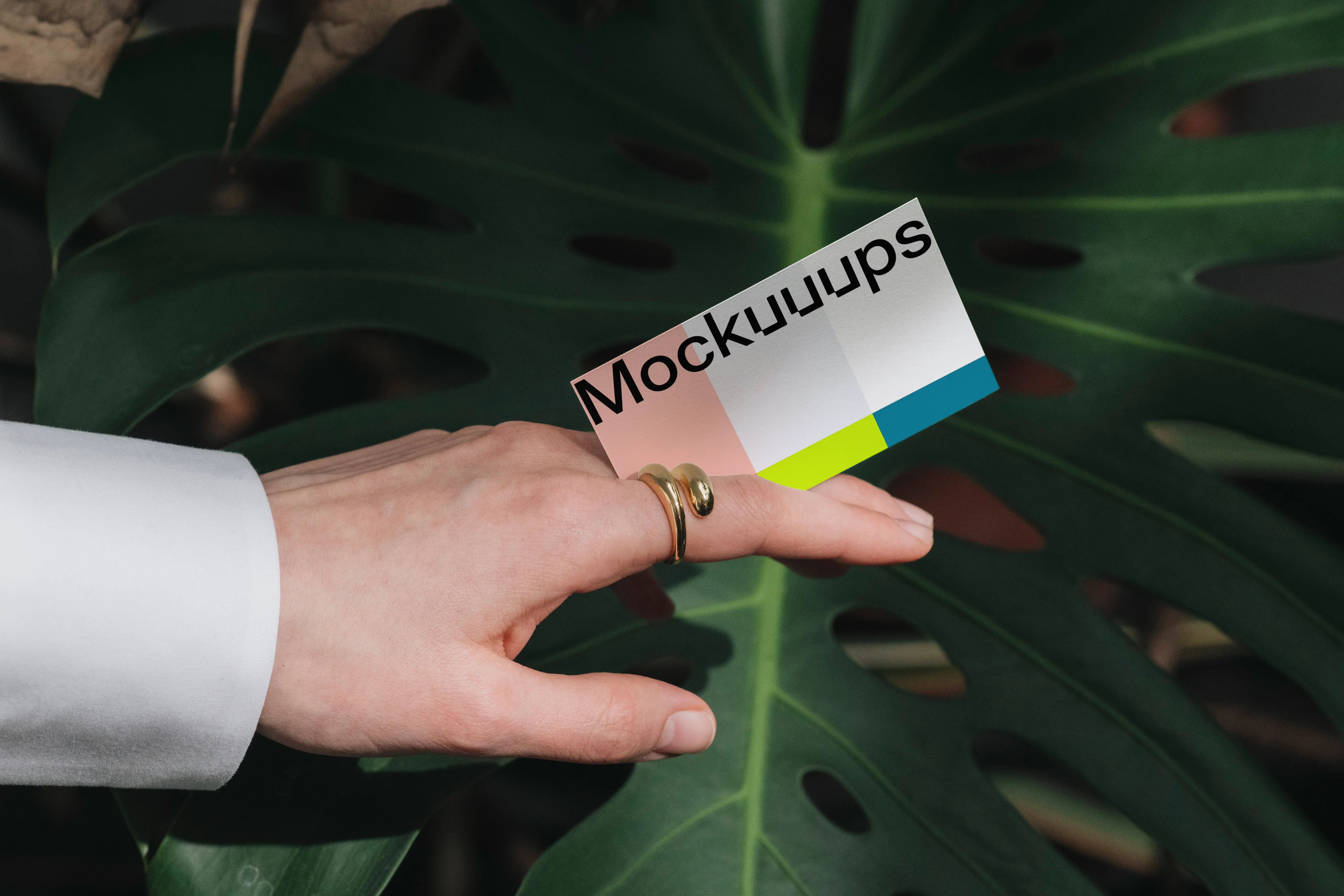 Business card mockup with gradient over a green leaf