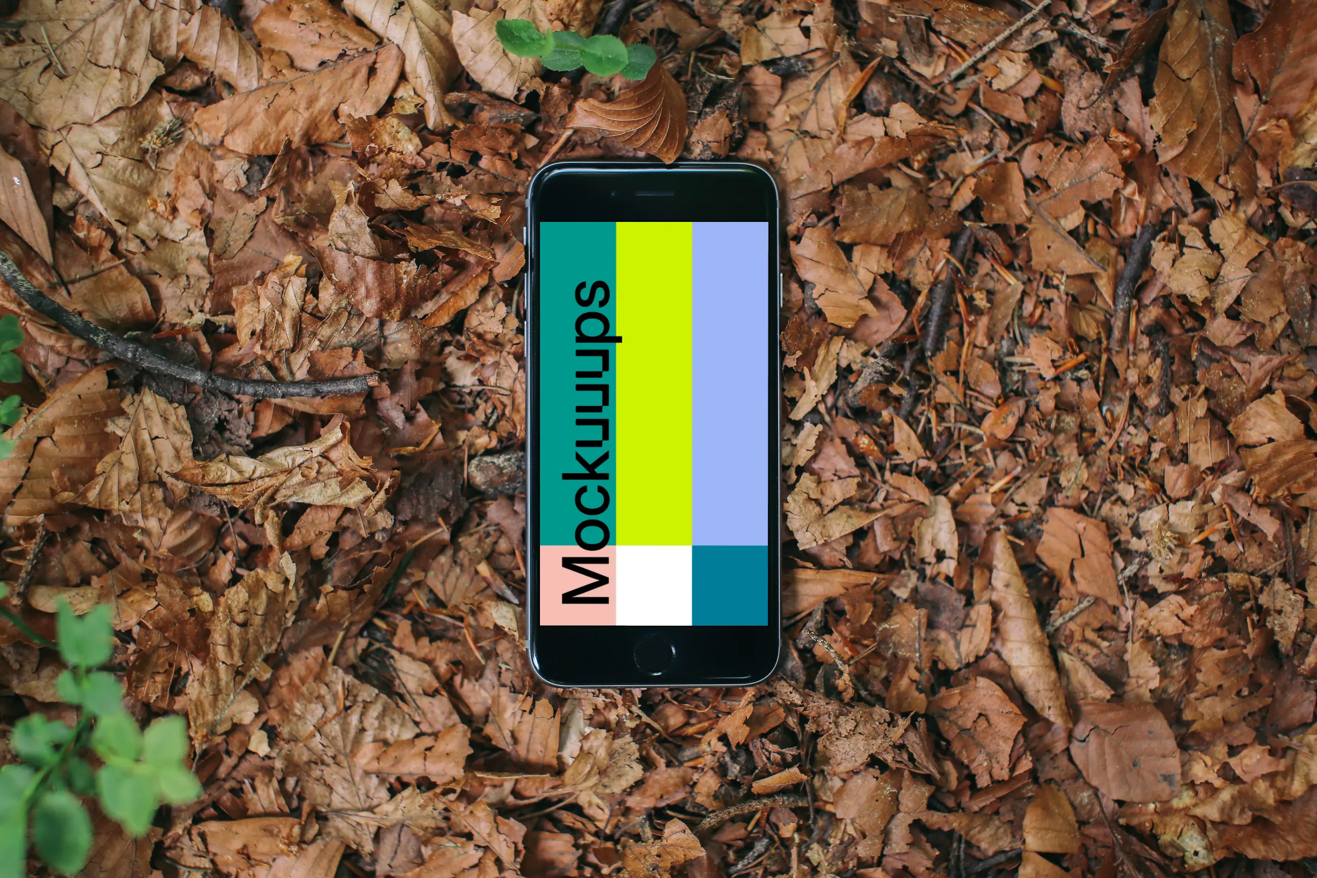 iPhone 6 mockup in the forest