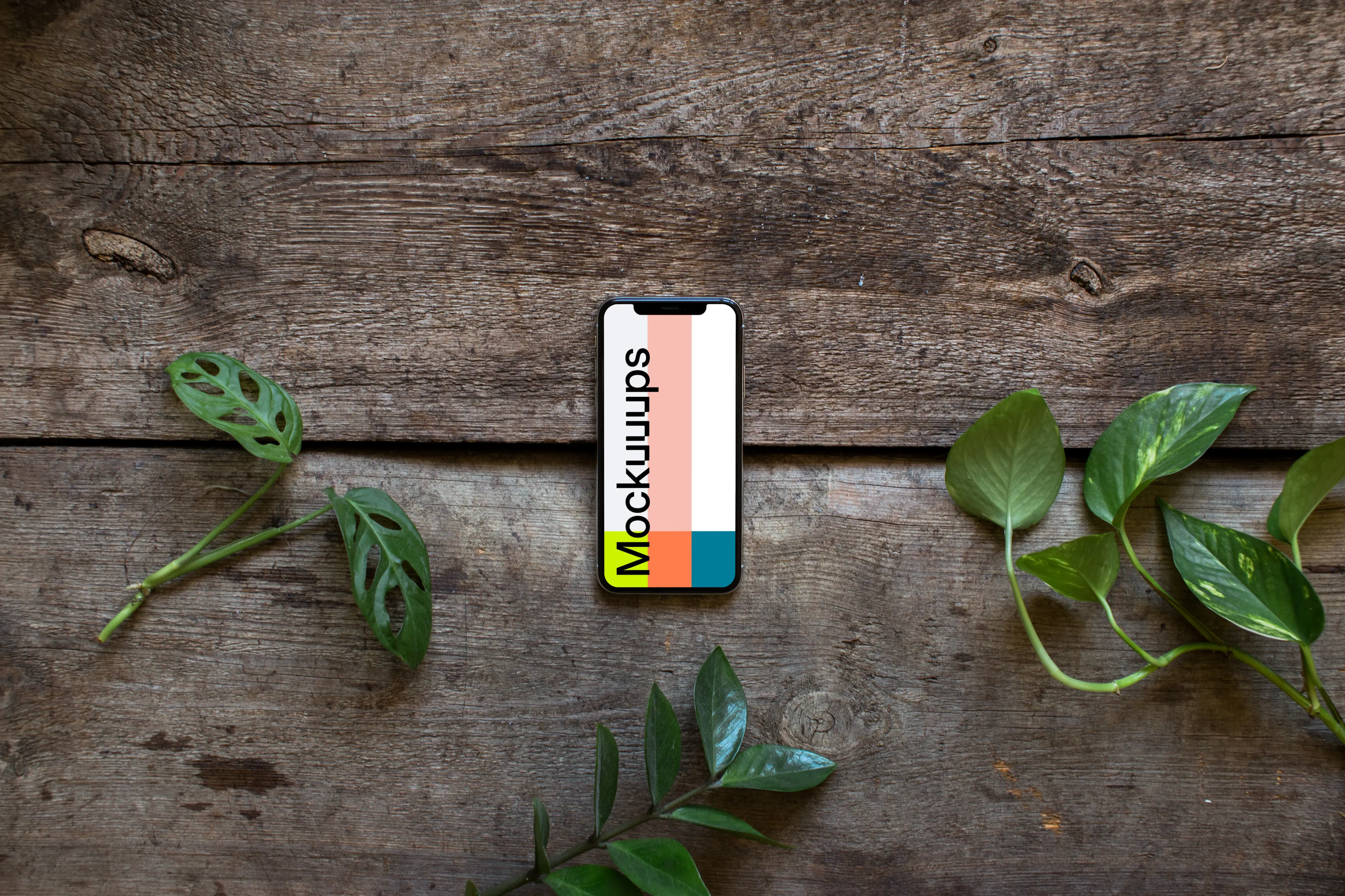 iPhone XS mockup and plants