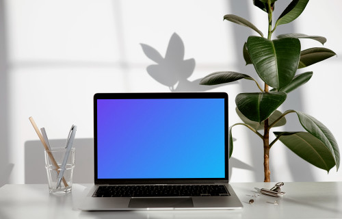 MacBook mockup on a white table with hard root plant at the side