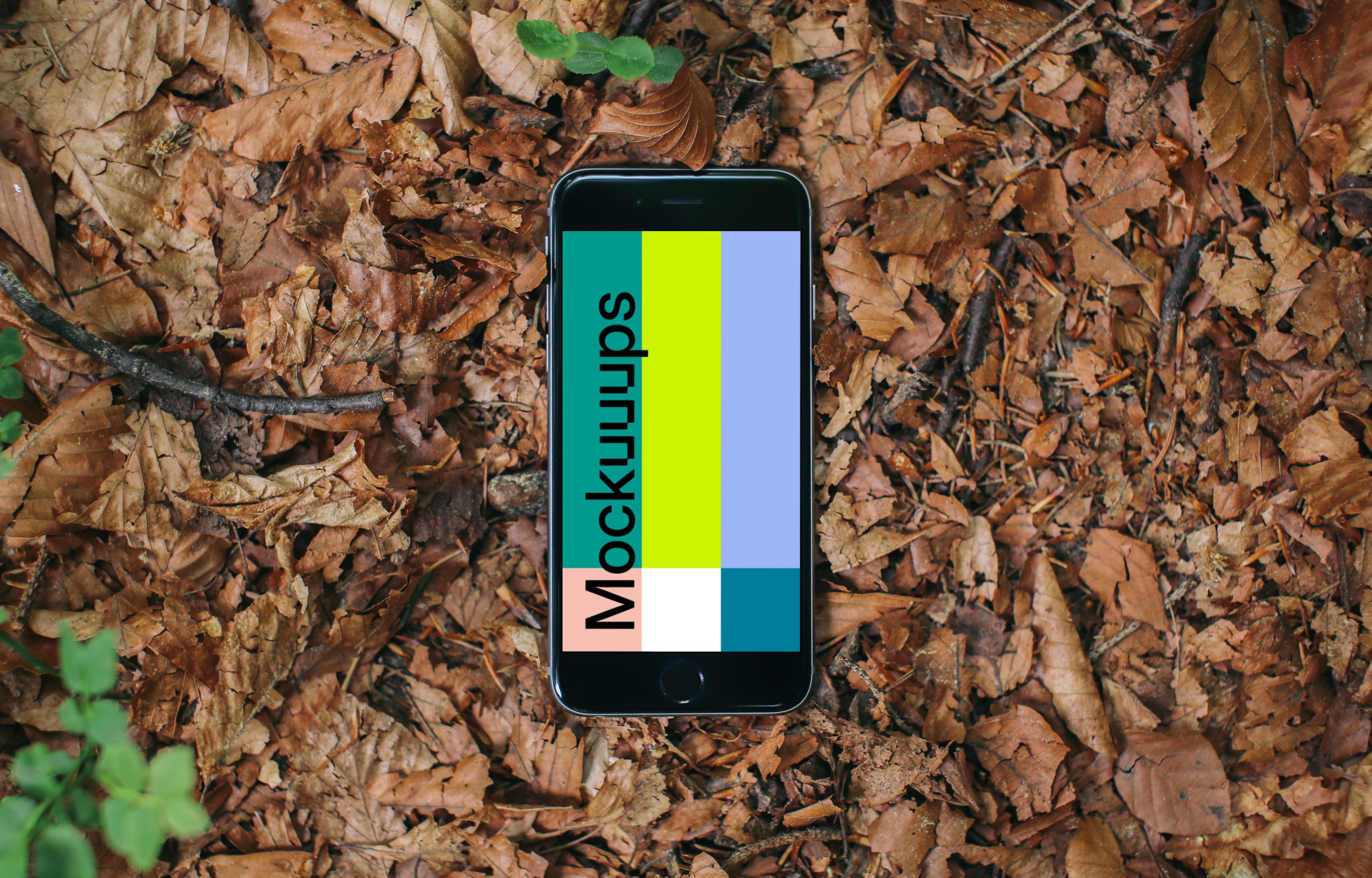 iPhone 6 mockup in the forest