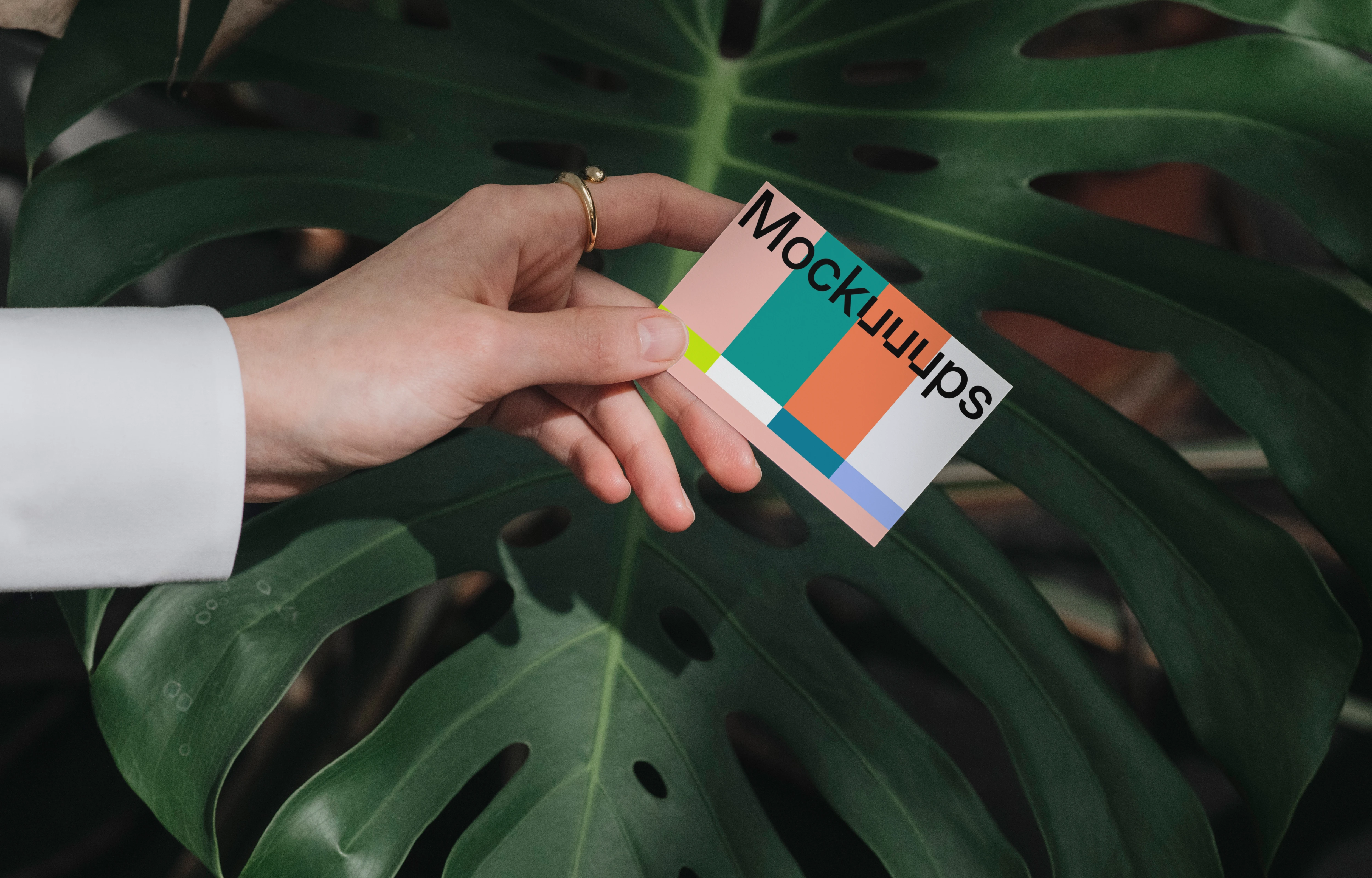 Business card mockup with tropical leaf background