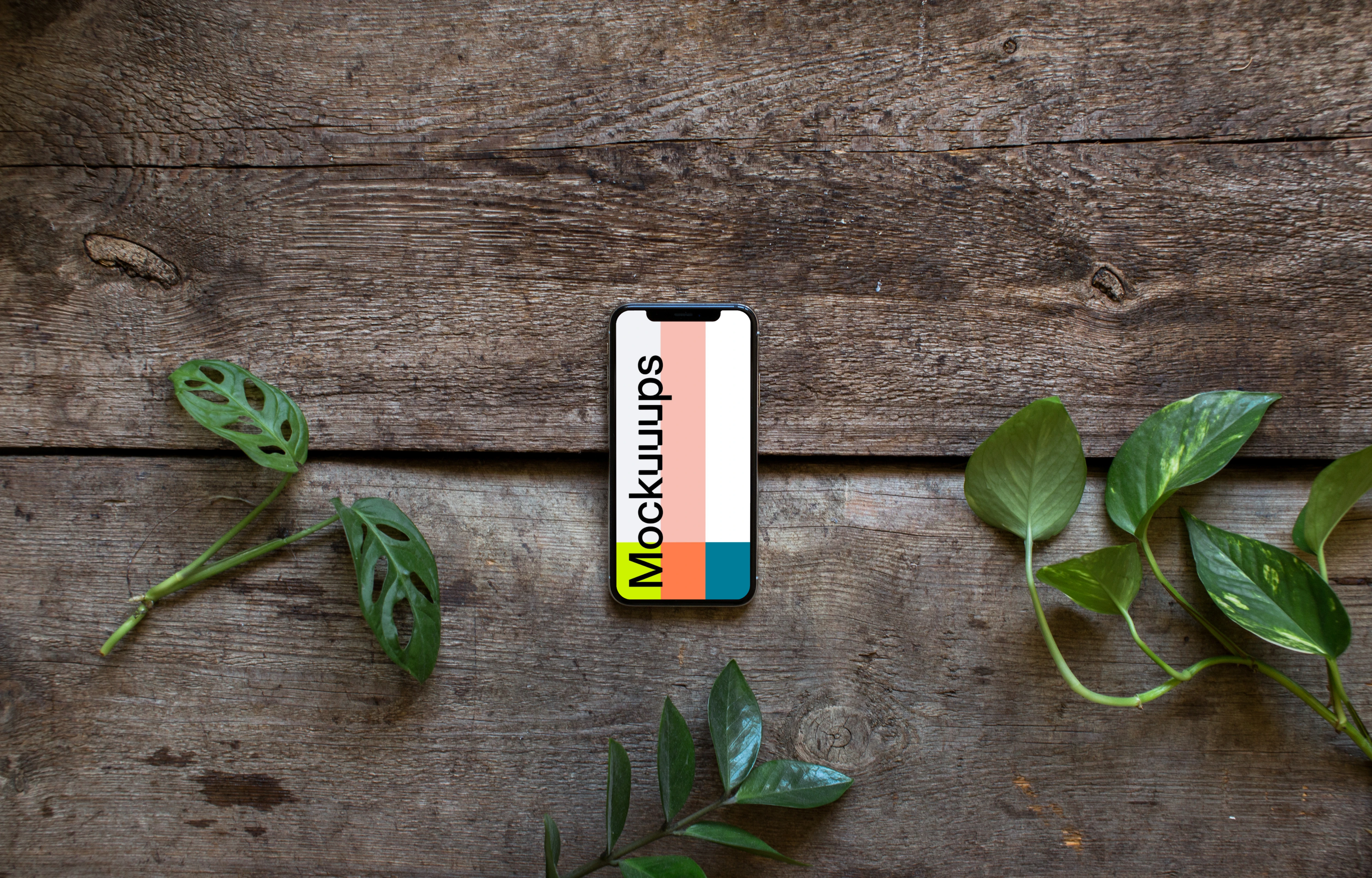 iPhone XS mockup and plants