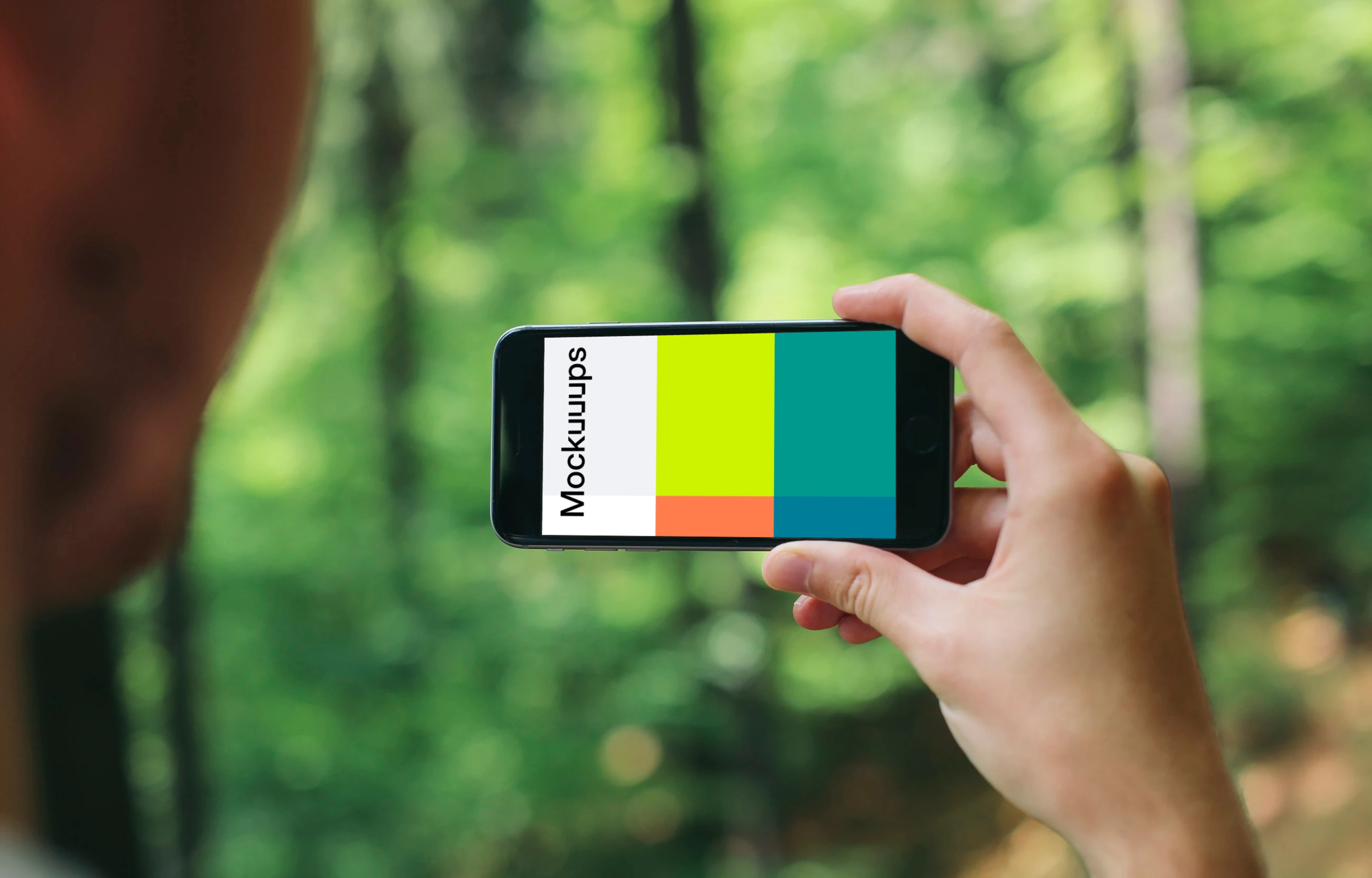 Taking a picture of forest with iPhone 6 mockup