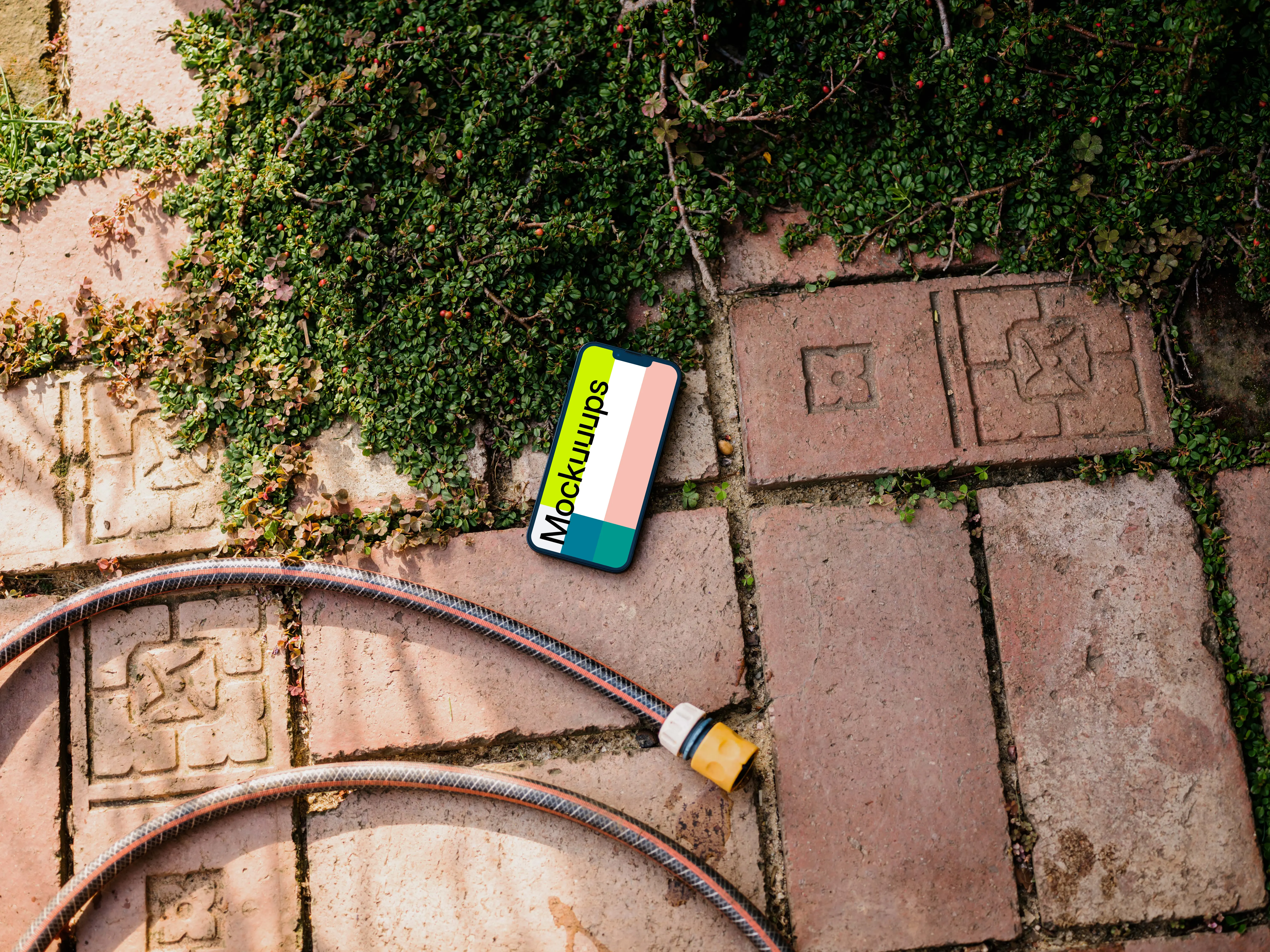 iPhone mockup on a garden paving with plants