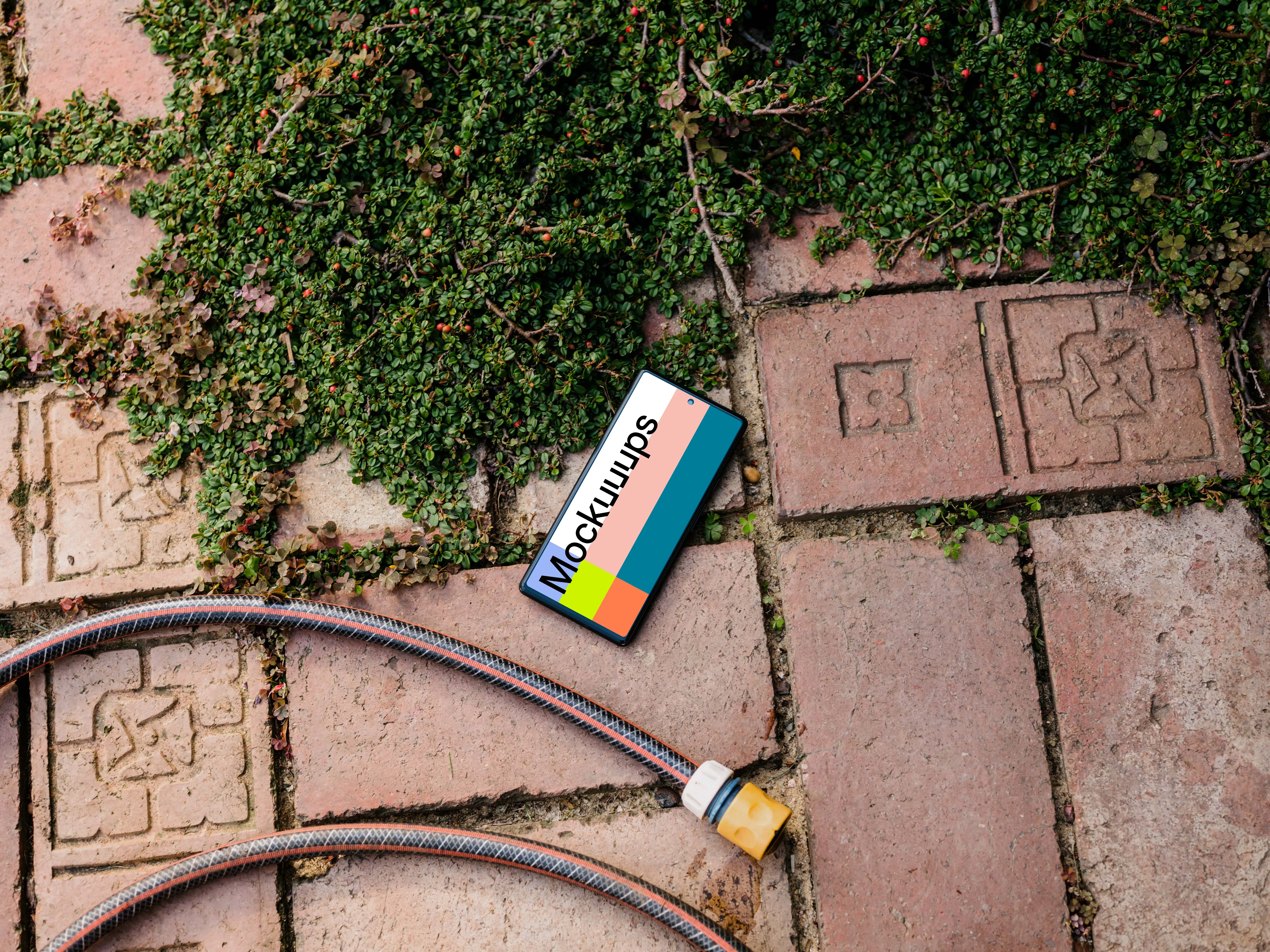Phone mockup on a garden paving with a trailing plant