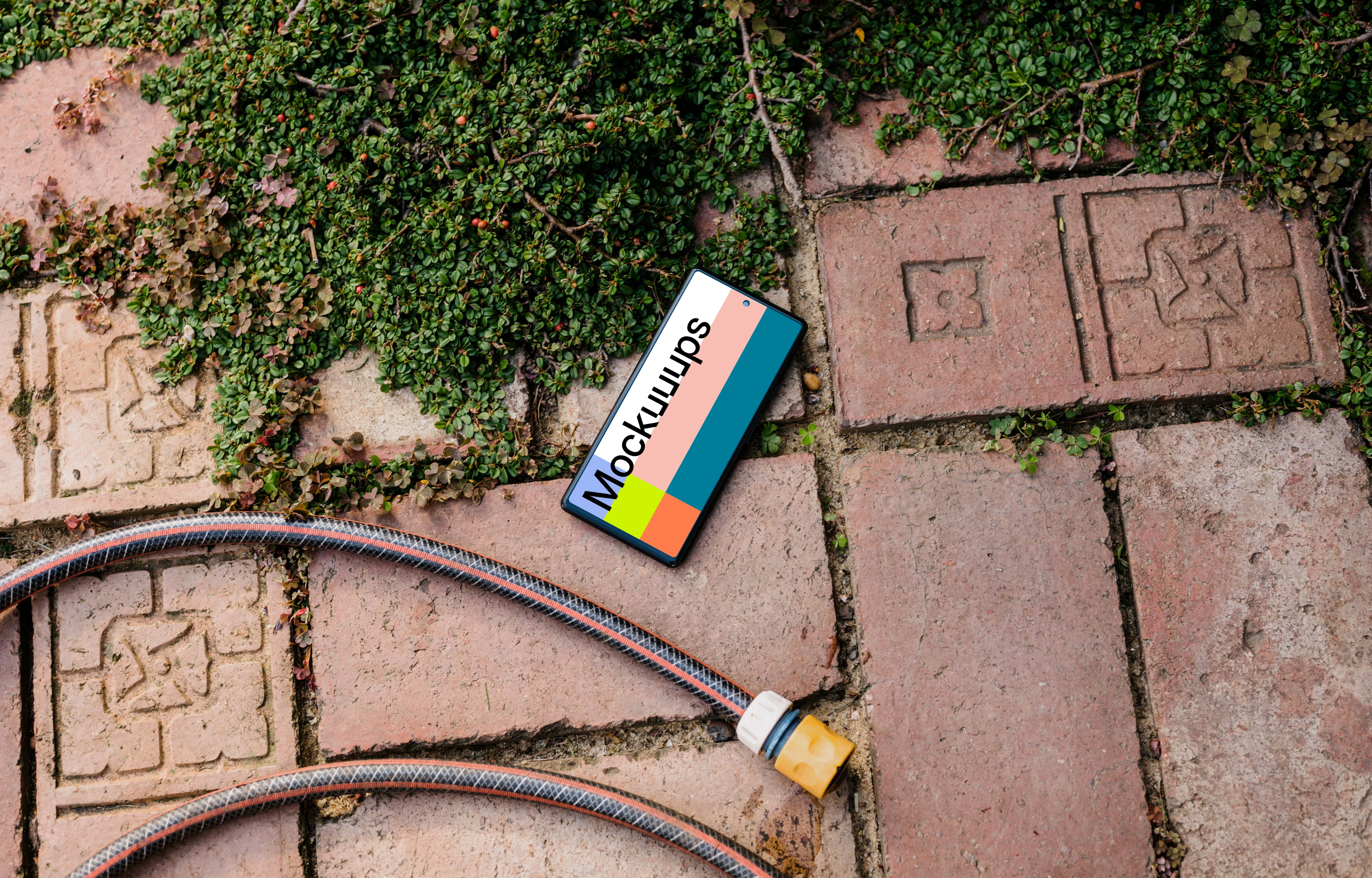 Phone mockup on a garden paving with a trailing plant