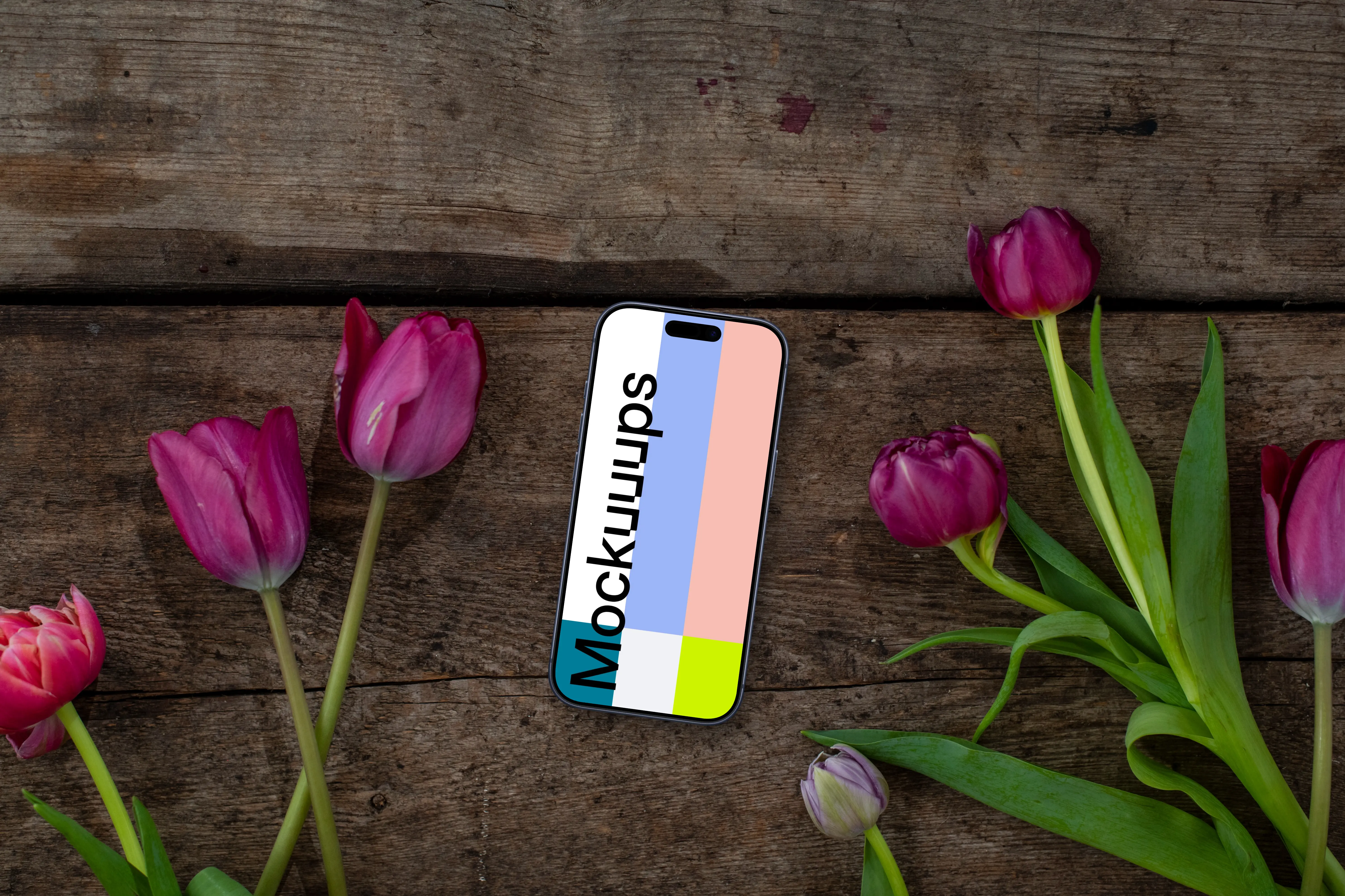 iPhone with tulips in Viva Magenta color