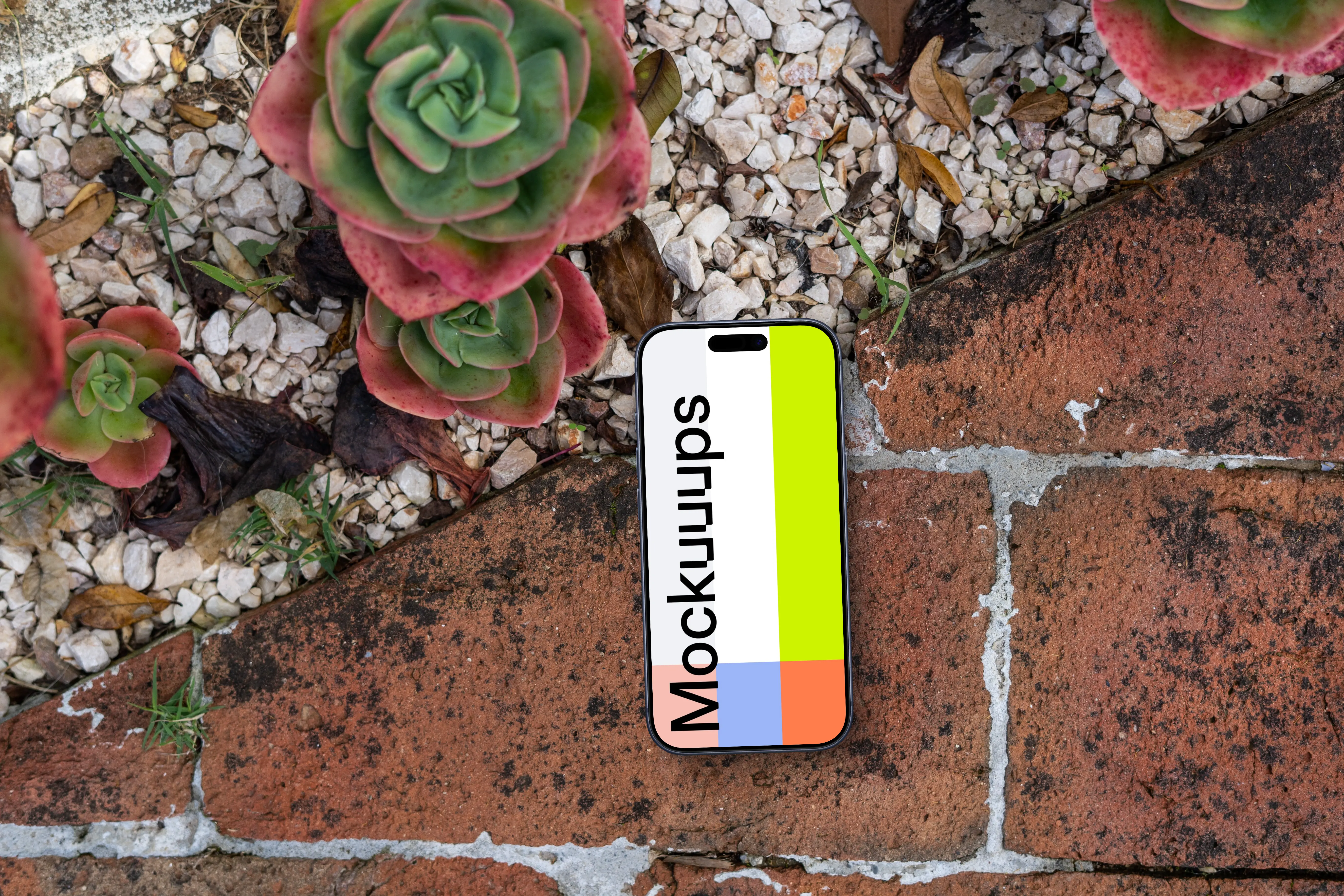 Smartphone mockup laying on a bricks next to succulents