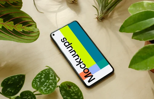 Pixel 5 mockup beside multiple flower pots