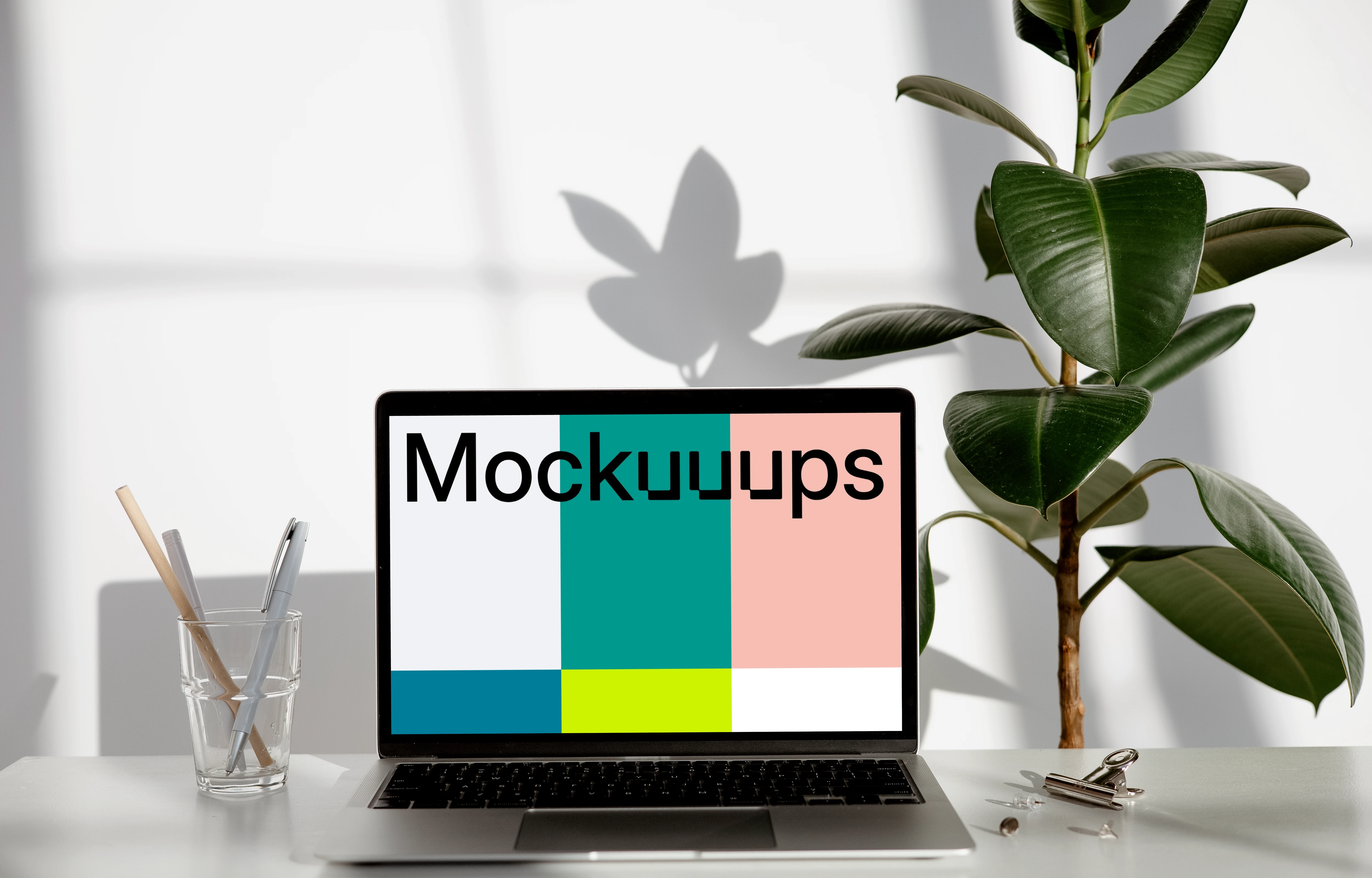 MacBook mockup on a white table with hard root plant at the side