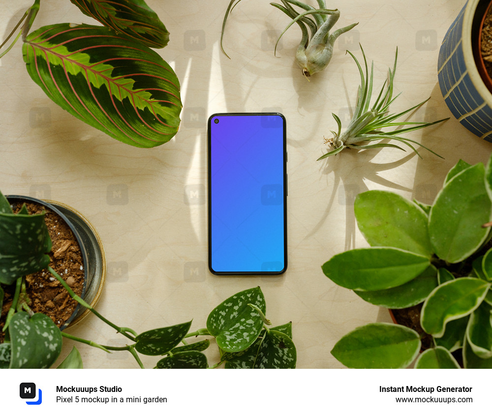 Pixel 5 mockup in a mini garden