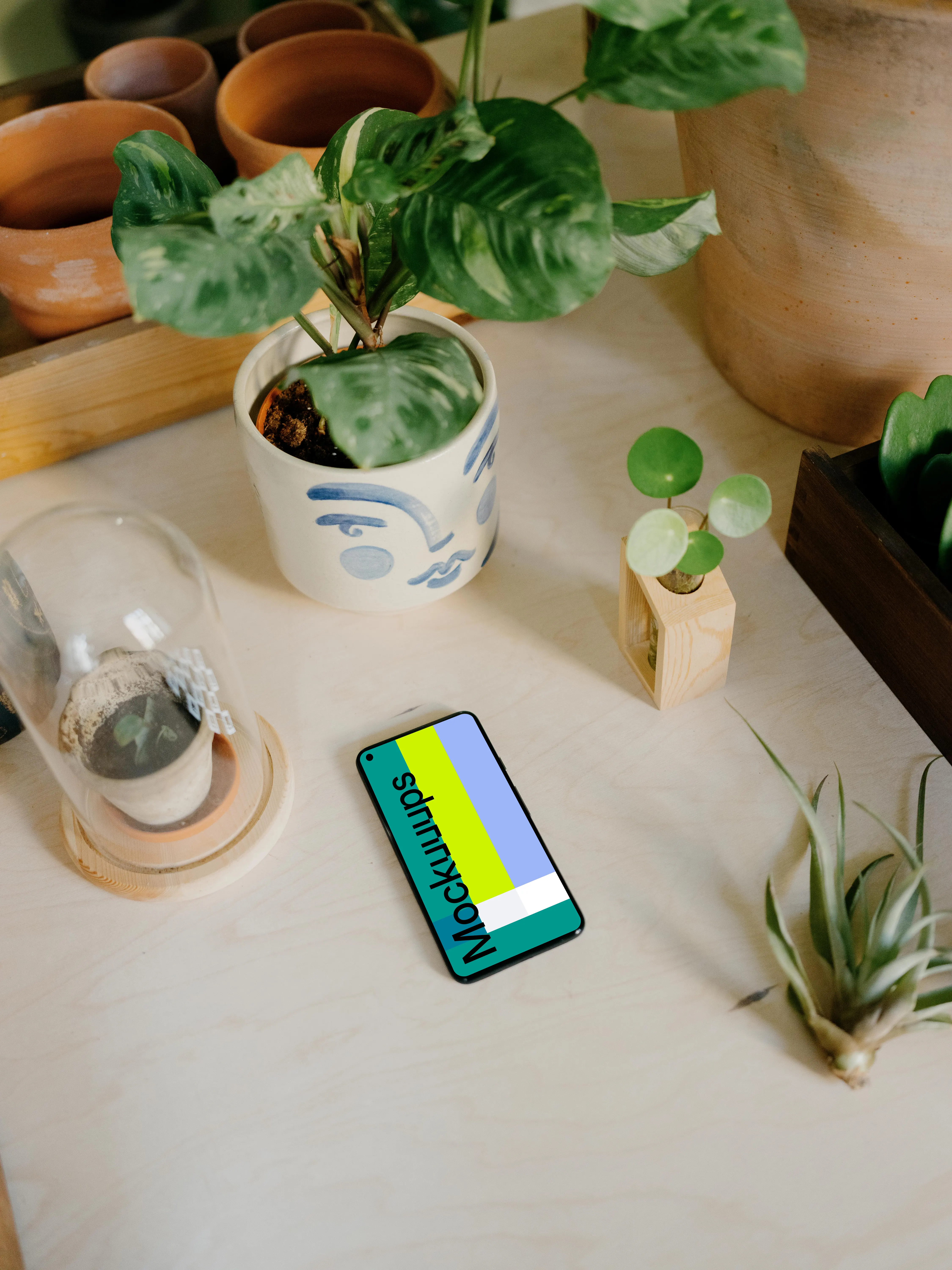 Google Pixel 5 mockup beside a white vase