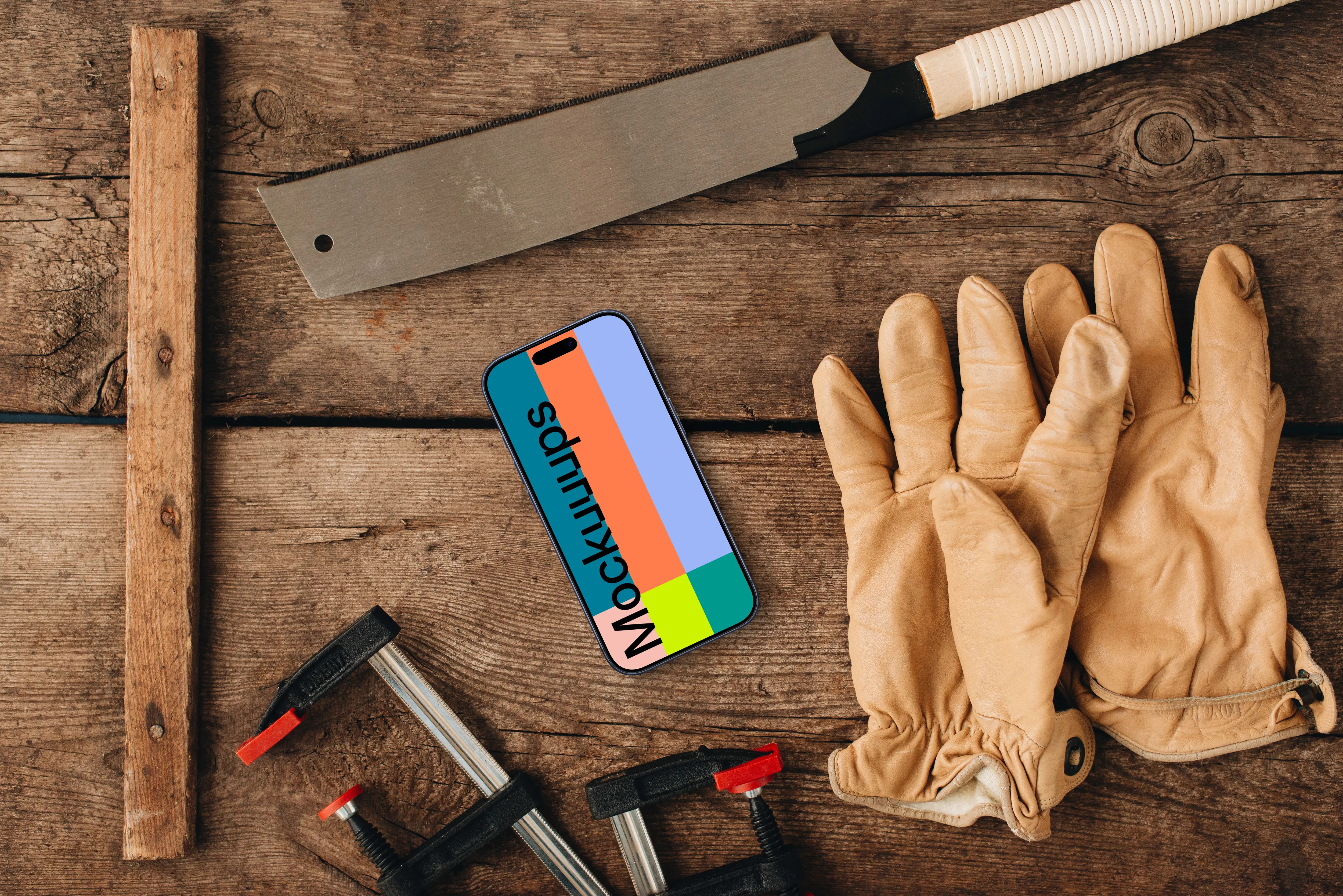 Workshop with the iPhone device