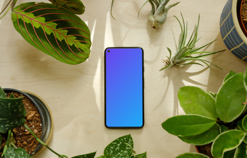 Pixel 5 mockup in a mini garden