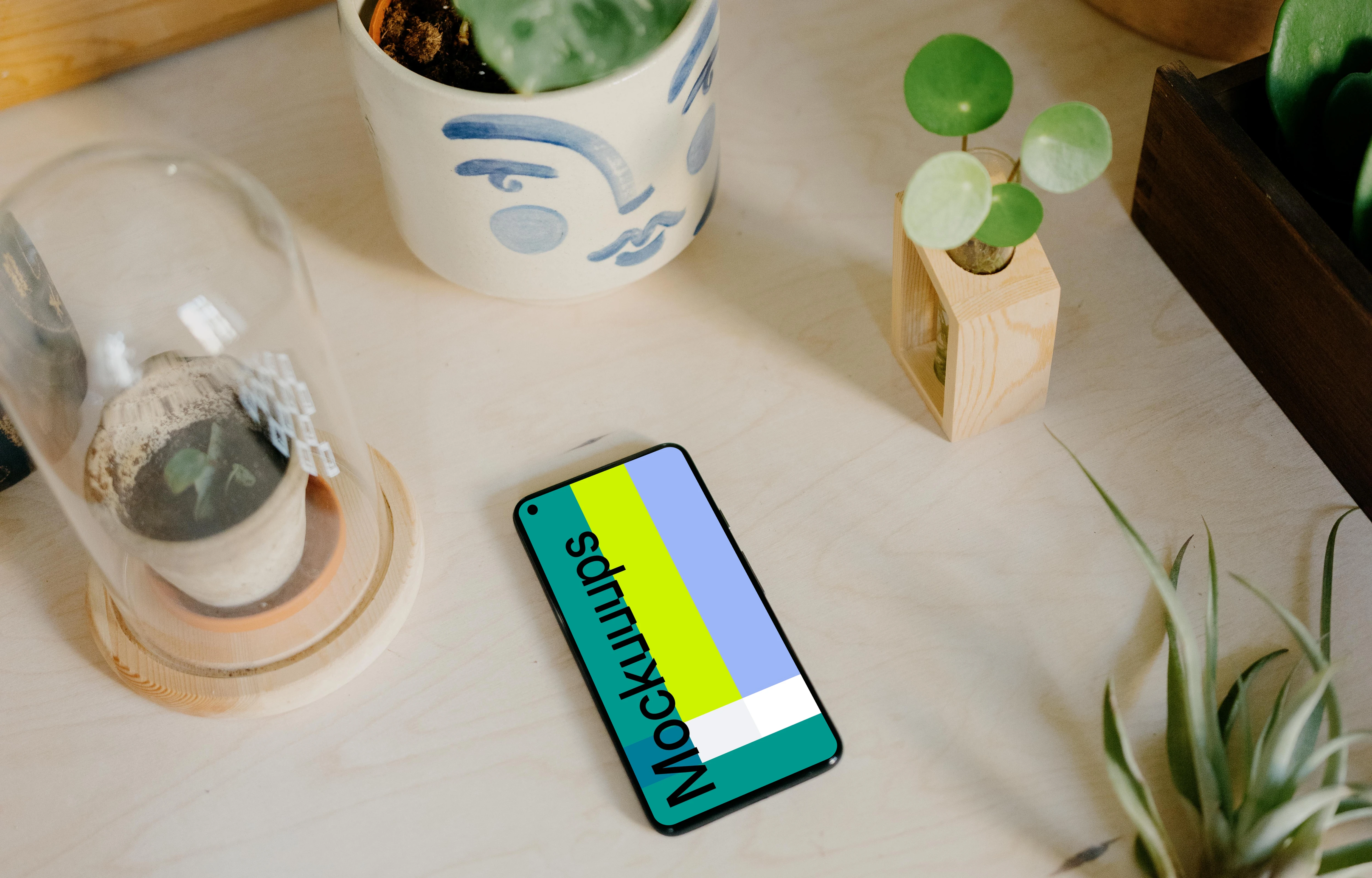 Google Pixel 5 mockup beside a white vase